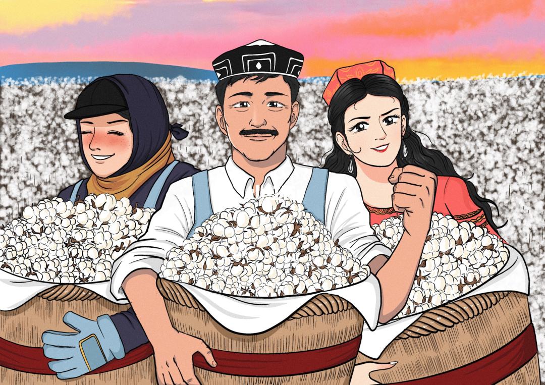 回力帆布鞋和匡威的区别,匡威范斯回力哪个性价比高