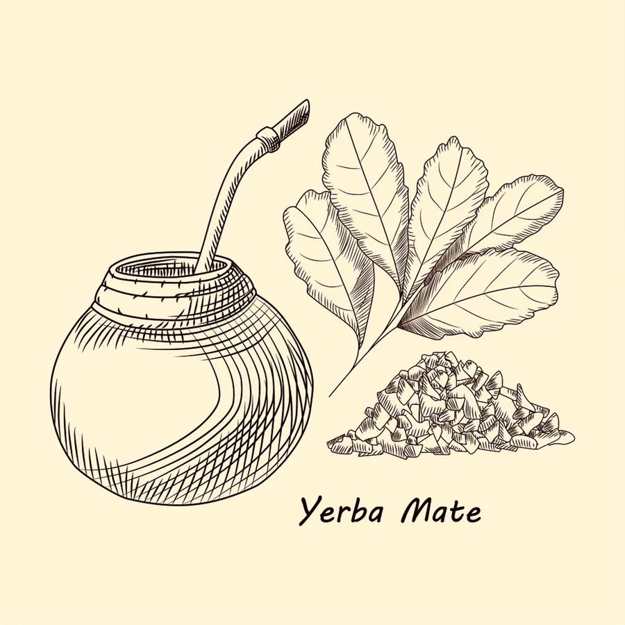 梅西喝的马黛茶好喝吗,梅西爱喝的马黛茶