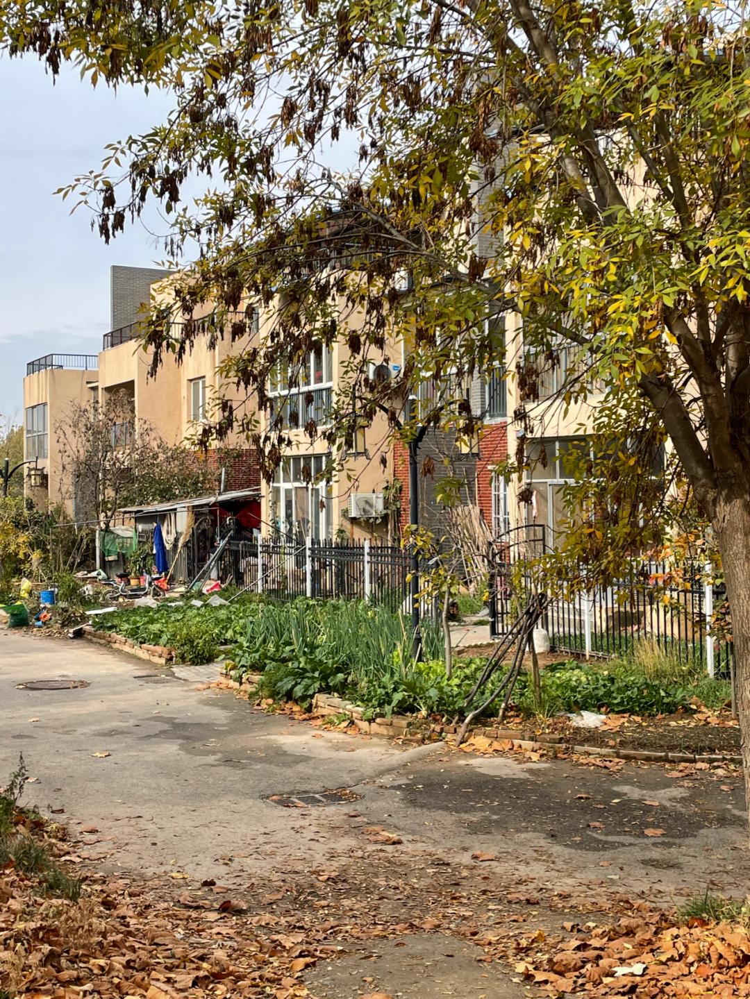 环渤海湾骑行记,环山东骑行日记青岛平度市