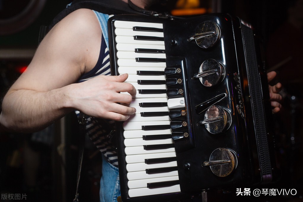 从零开始学音乐全套,手把手教你弹乐器