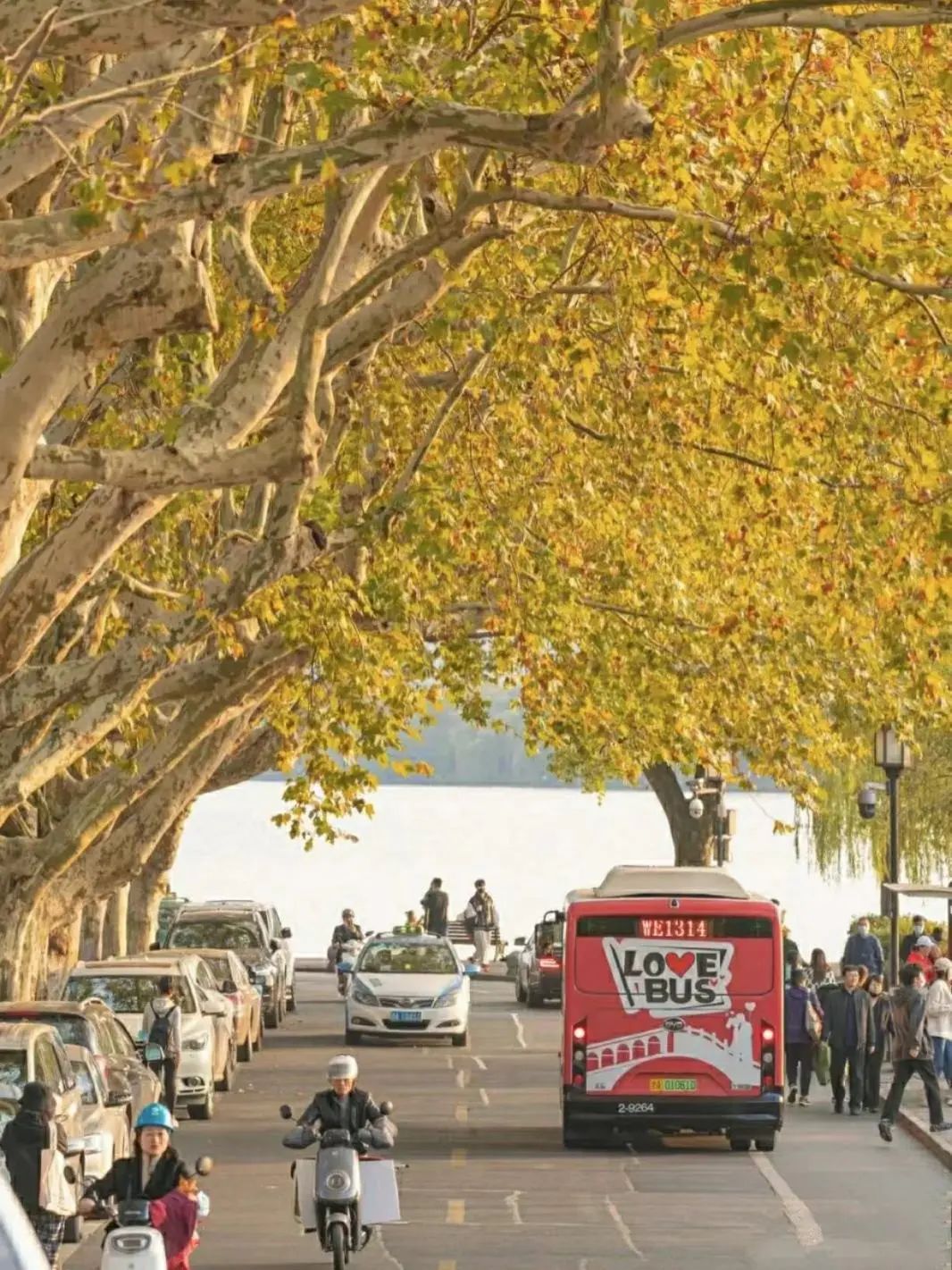 杭州秋日游攻略,杭州秋色上线这些赏秋地风景极佳