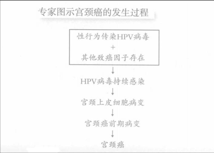 HPV感染和宫颈癌的预防与早期发现