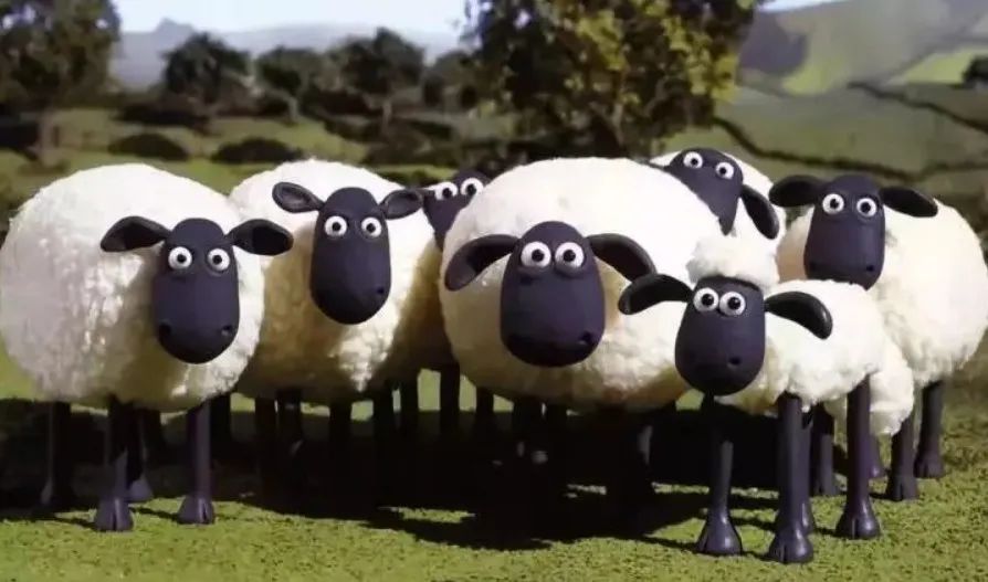 黑鼻羊中国可以养吗,黑鼻羊不吃什么食物