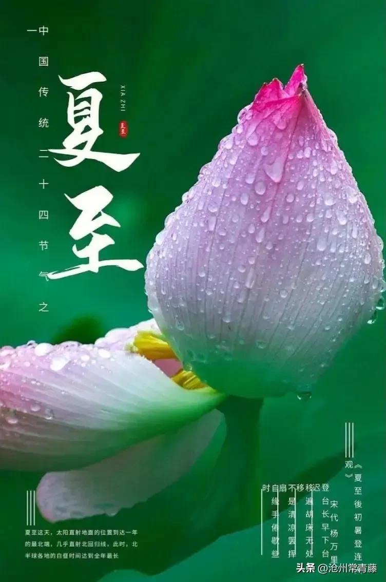 夏至节气感慨,今日夏至话题