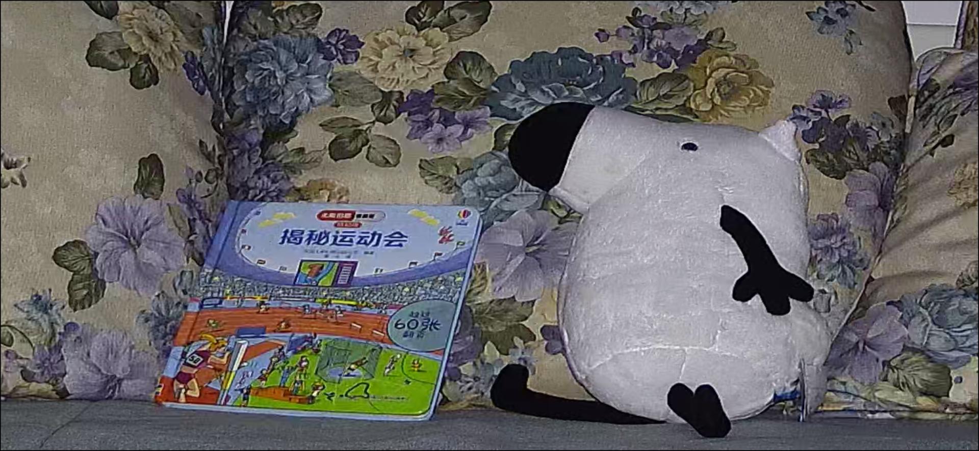 家用摄像头哪款最好用,家用摄像头哪款最实用