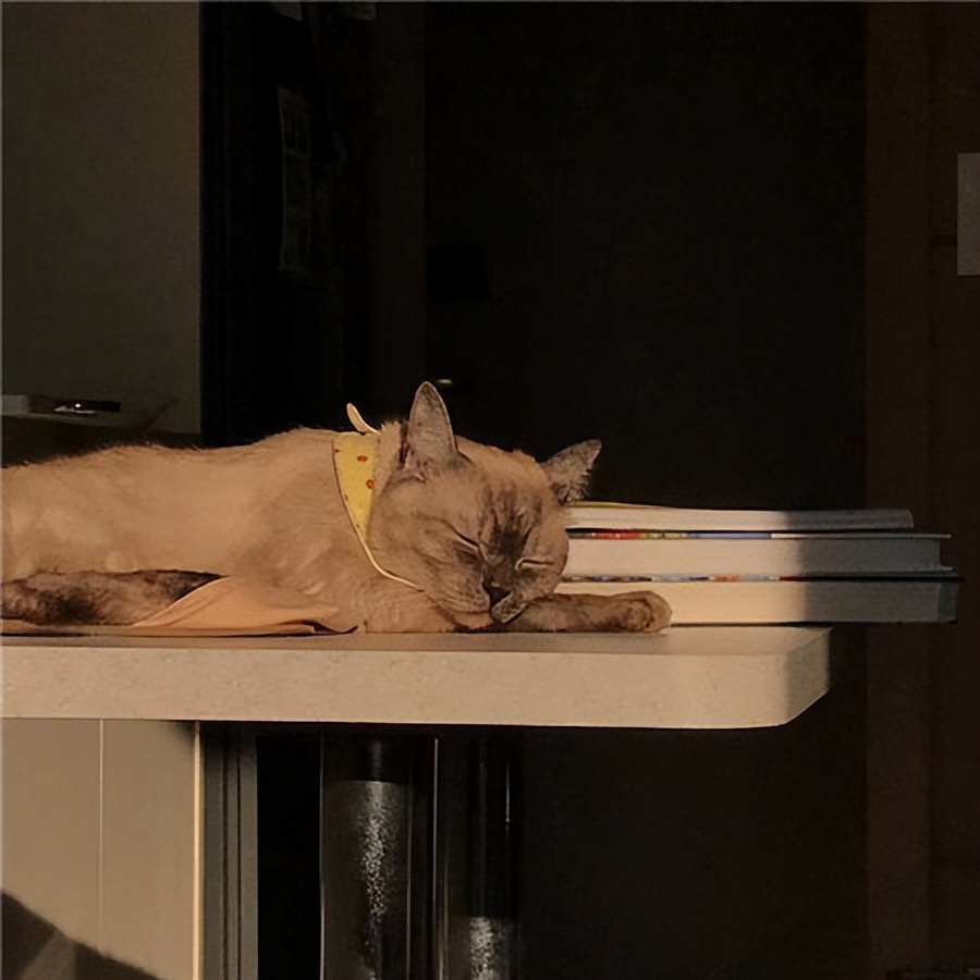 很丧很压抑的图文,心情糟透了伤心的图片