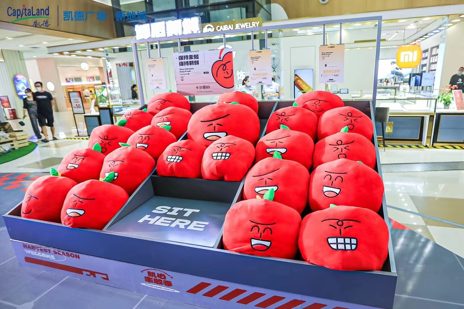 凯德上海风味,凯德中心商业