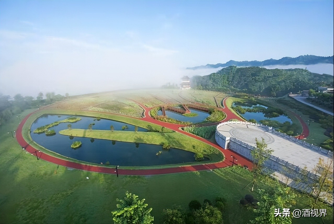 五粮液一季度业绩,2023五粮液总营收和净利润