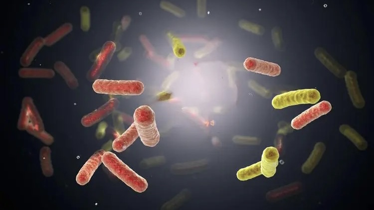 高烧反复，退烧药无效？医生从膀胱取出好多磁力珠，家长要当心了