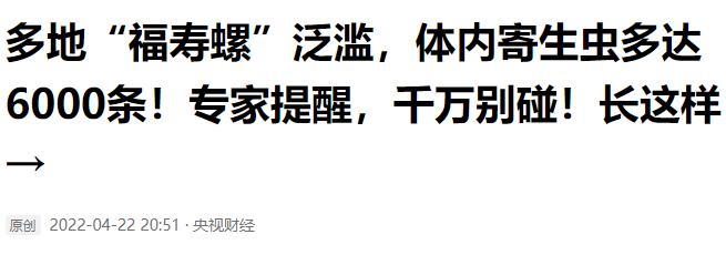 福寿螺的卵泛滥成灾视频,福寿螺产卵泛滥成灾