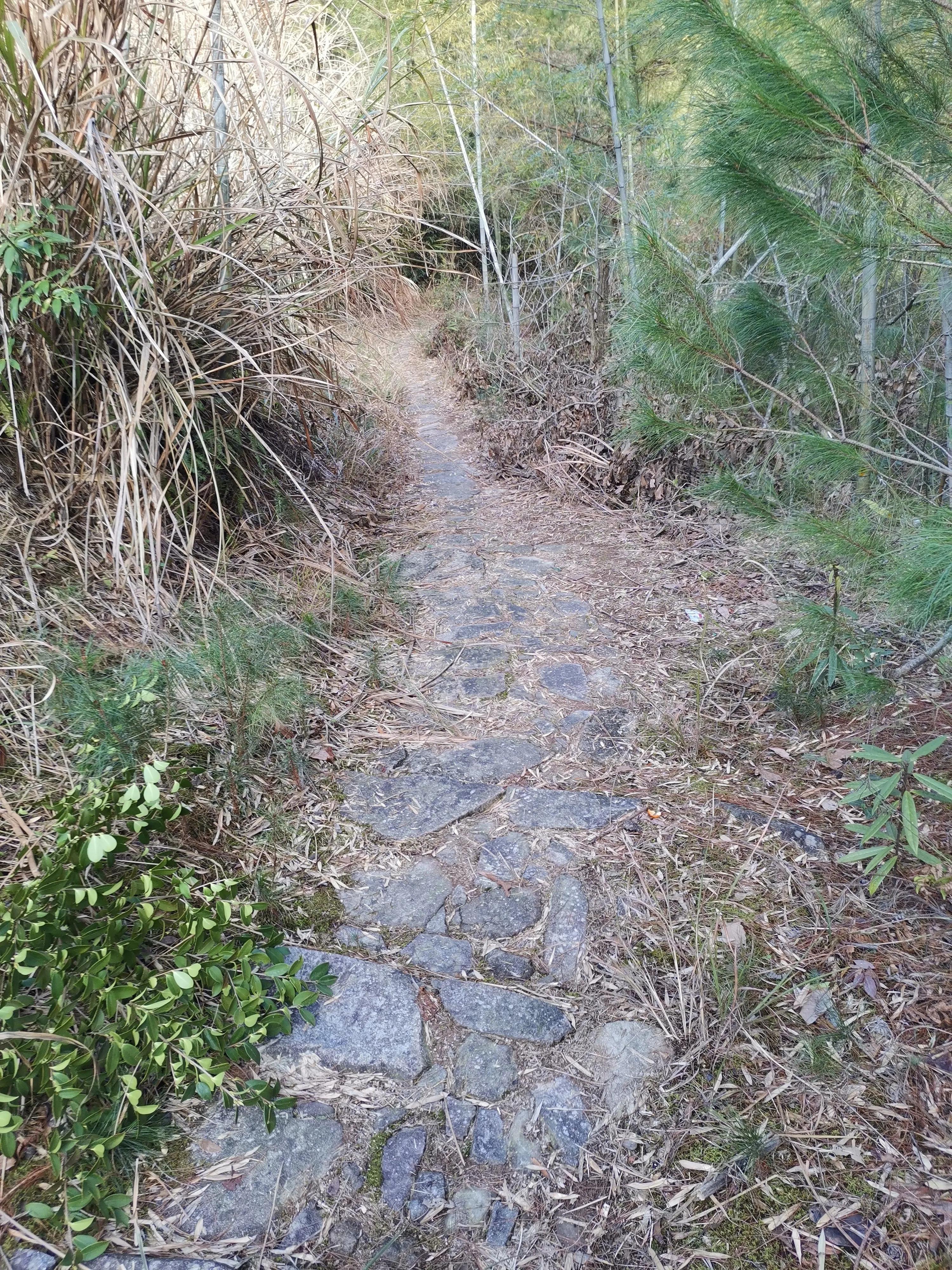 跨境电商助力出口,跨境电商出口模式发展研究