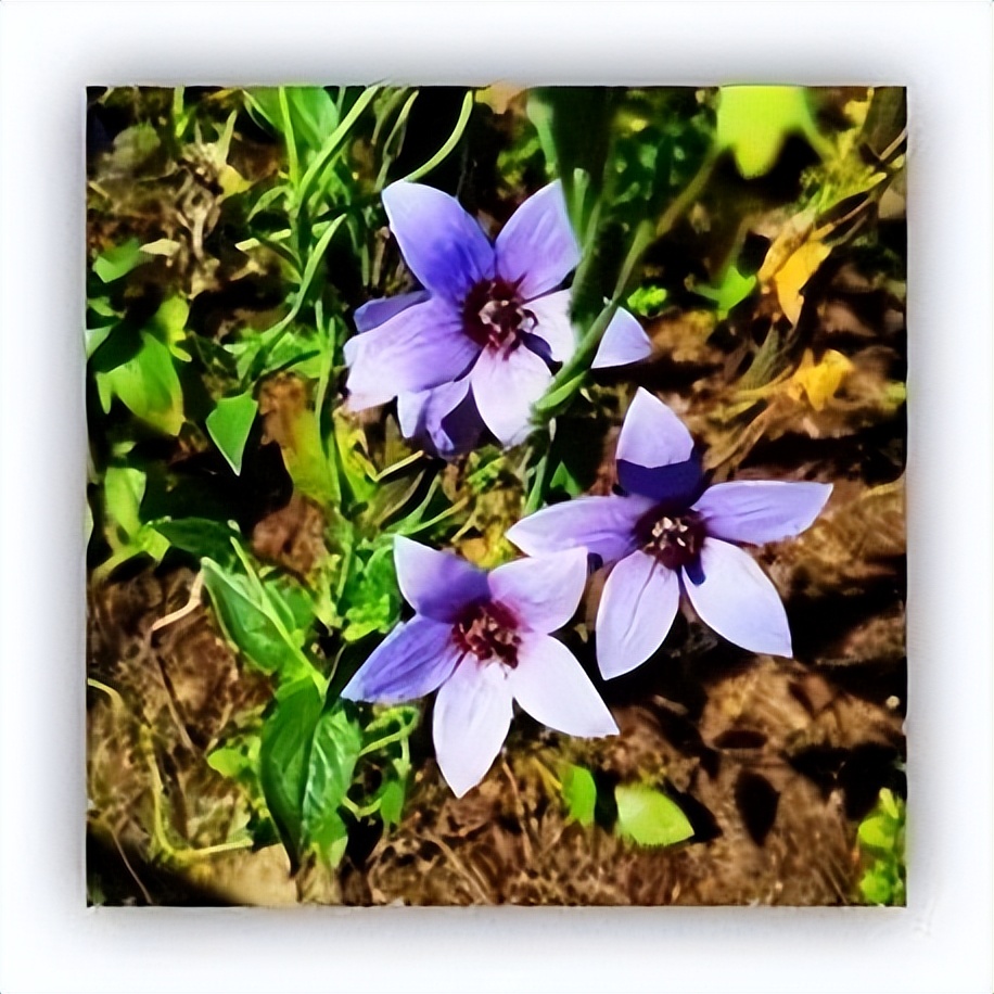 respect穆里尼奥原视频,respect雷军