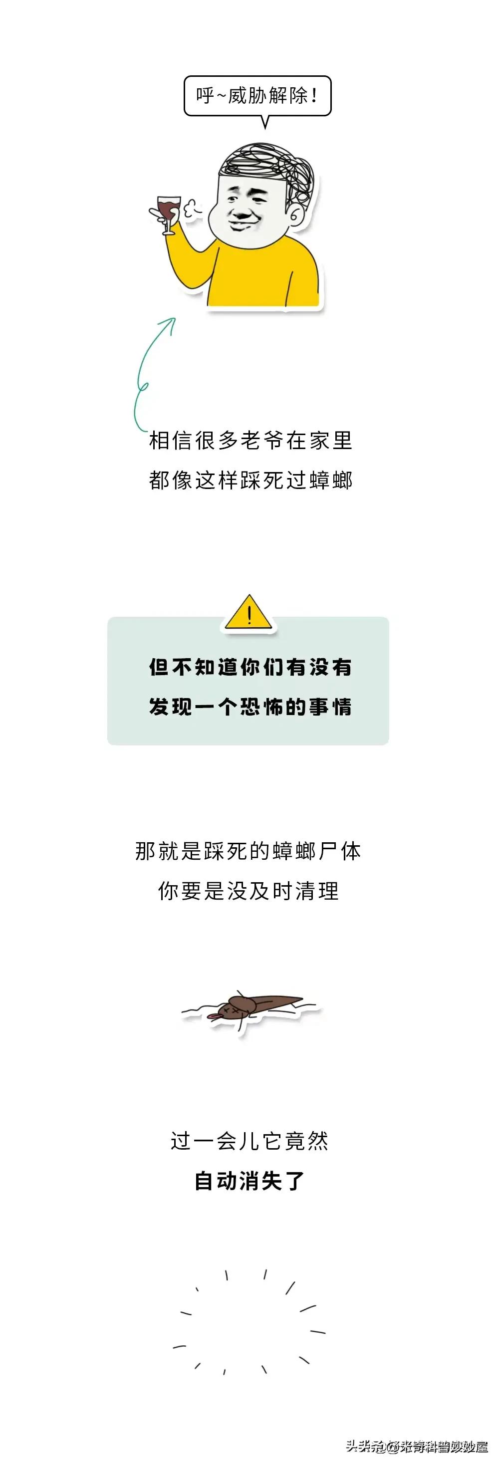奇怪的冷知识甲虫,奇怪的冷知识火体虫