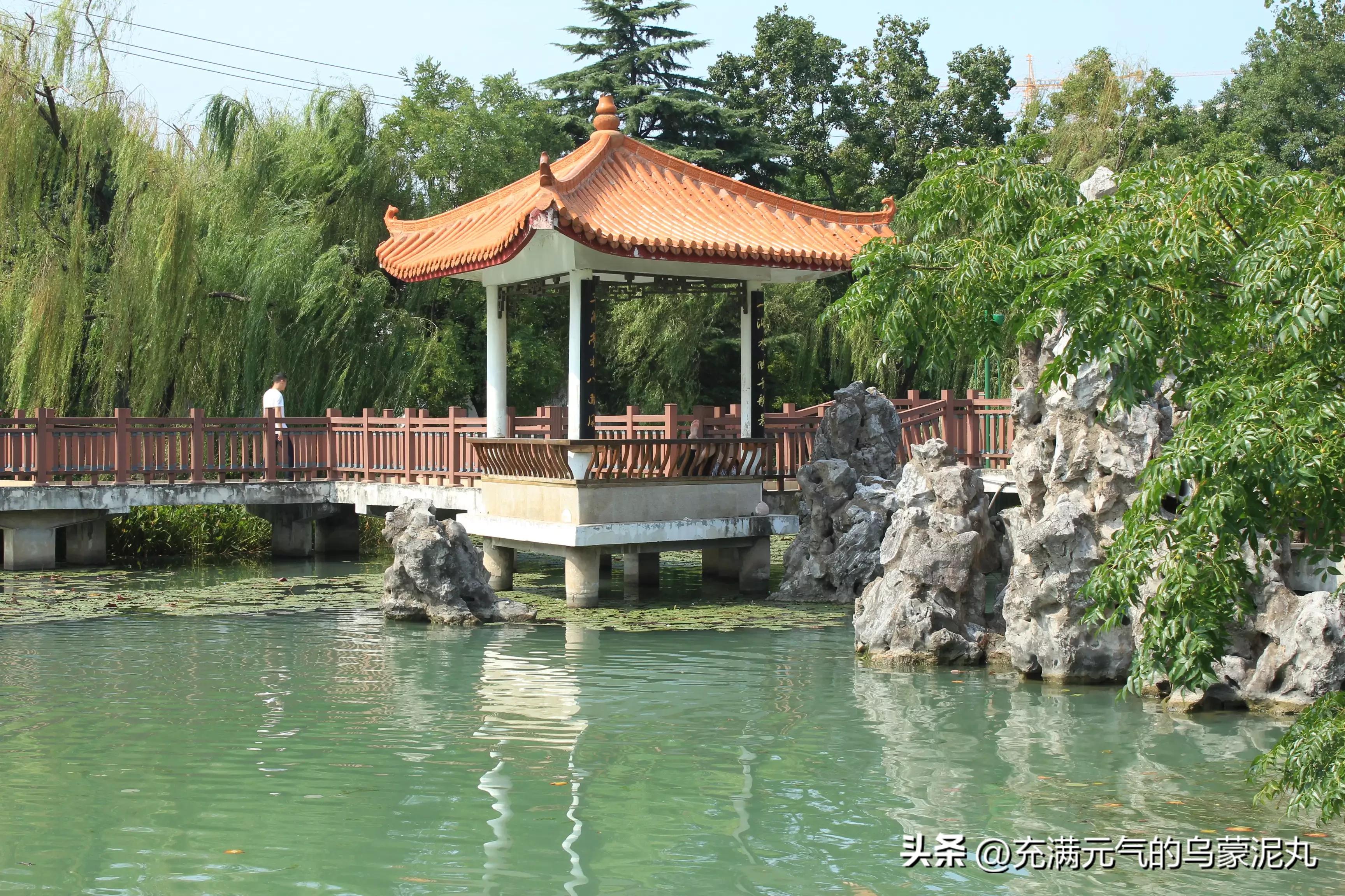 被保健品蛊惑的老人,被保健品骗的老人