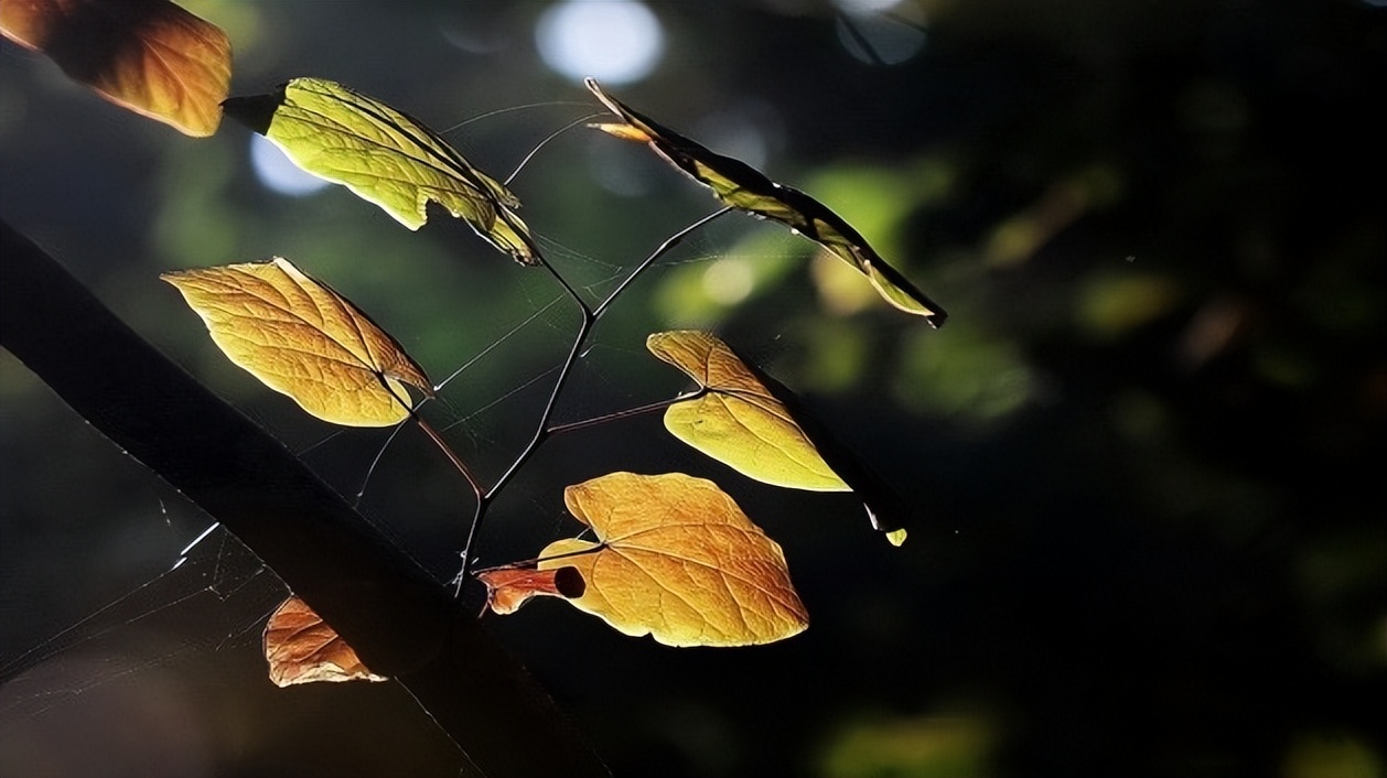 一年前的三星值得买吗,三星以前的老手机值钱吗