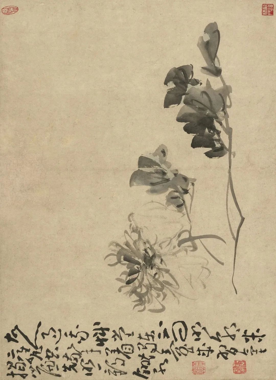 慕容看世界的视频,慕容看世界所有视频