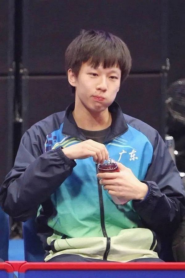 亚洲杯赛程表乒乓球林高远,亚洲杯林高远4-2胜樊振东夺冠