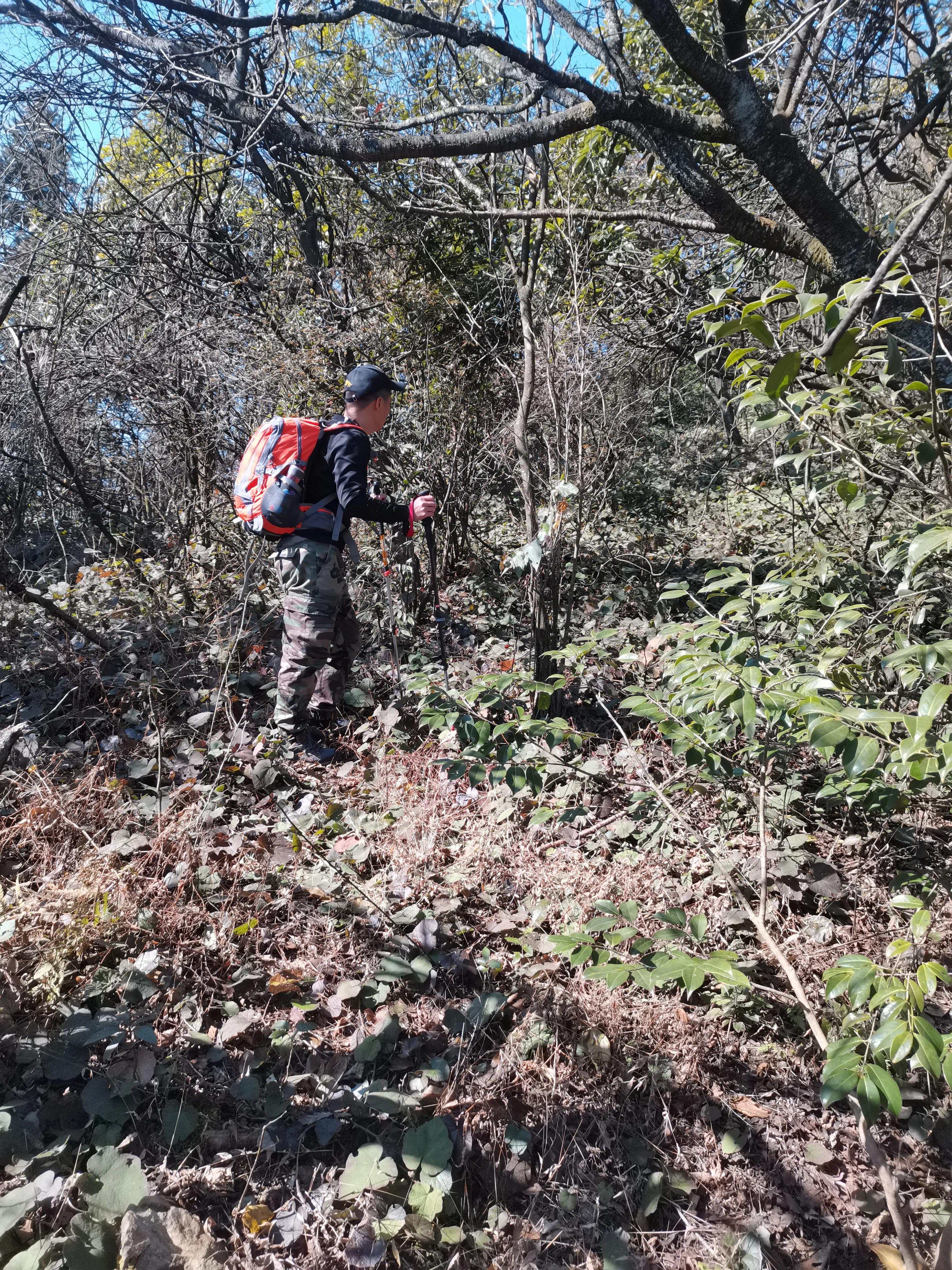 环岱山全程徒步要多久,新邵龙山自驾怎么走