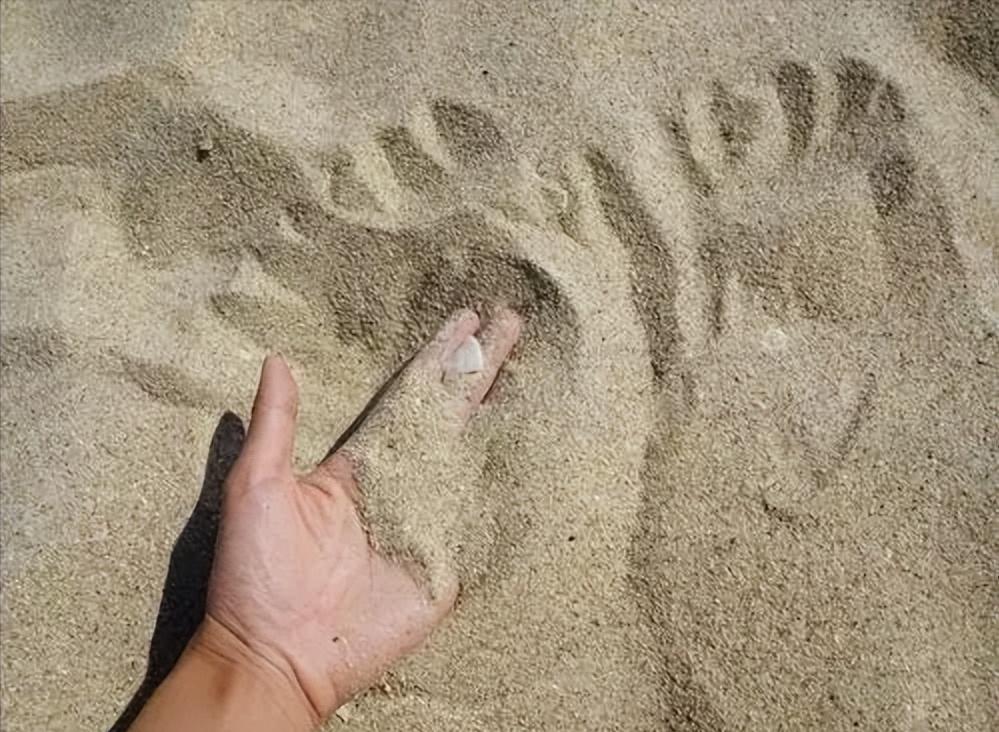 宇宙到底有多少星系?用天文数据给出答案,比地球的沙子还要多