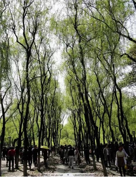 晚上杭州最值得去的五个景点,杭州名胜古迹旅游景点有哪些