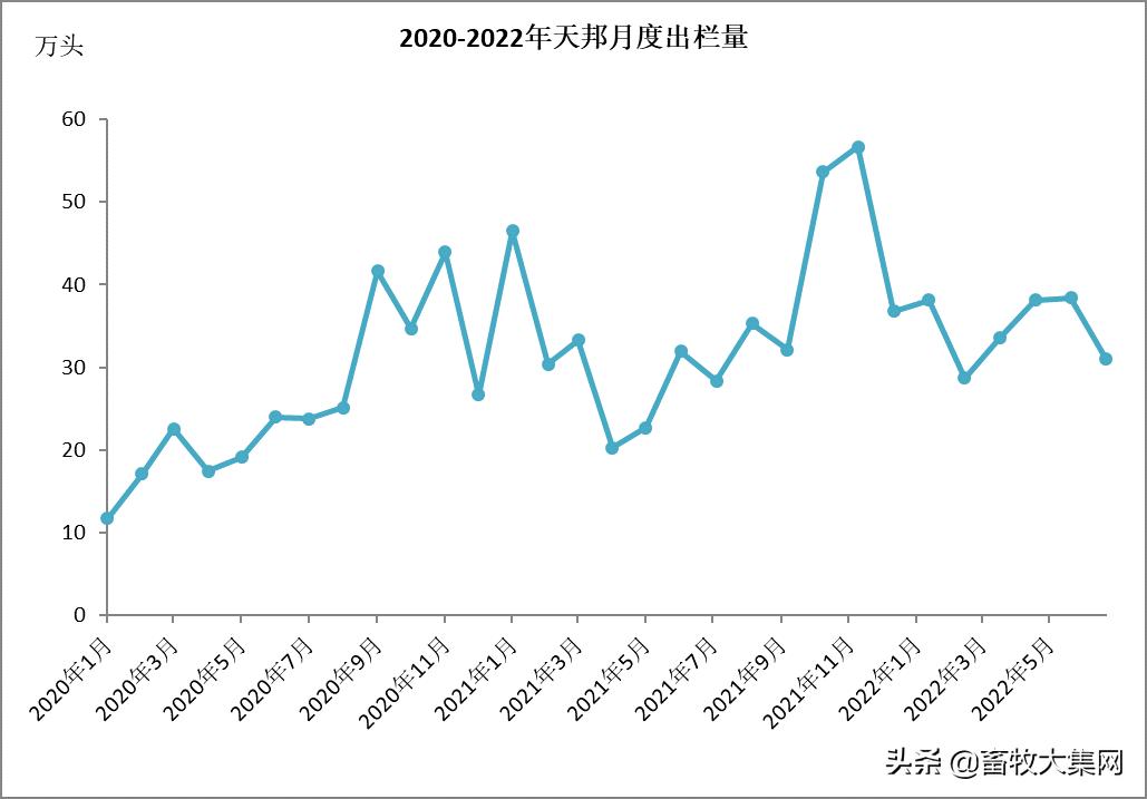 天邦股份上半年业绩预计大幅扭亏,天邦养猪一共亏损了多少