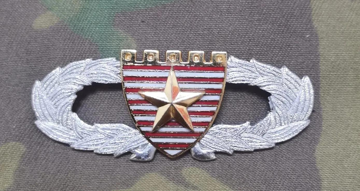 陆军胸标图案解释,陆军胸标高清图片