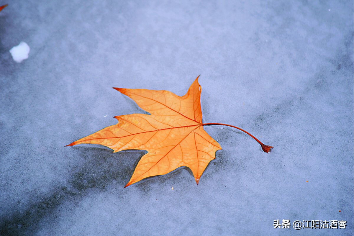 世事沧海越千年，只学陆羽煮茶闲，云淡风轻是一种难得的境界