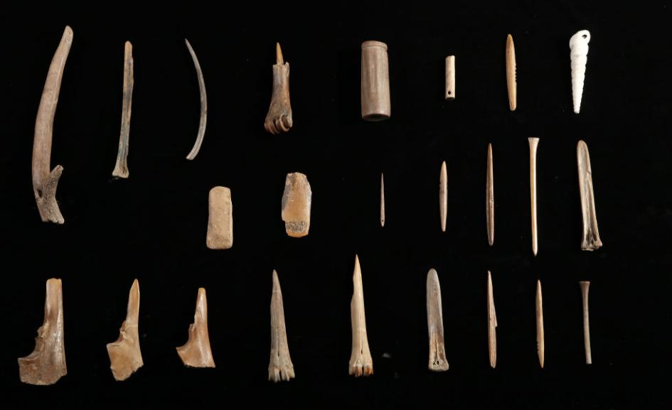 陕西出土7000年前的少女,陕西出土神秘死亡青年