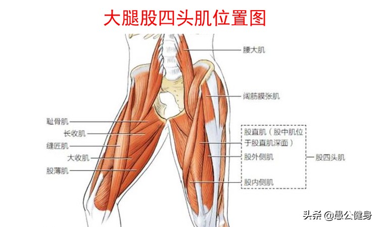 良好的弹跳,好的起跳技术