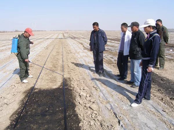 陕西土豆专用黑白地膜,种植土豆用黑地膜白地膜