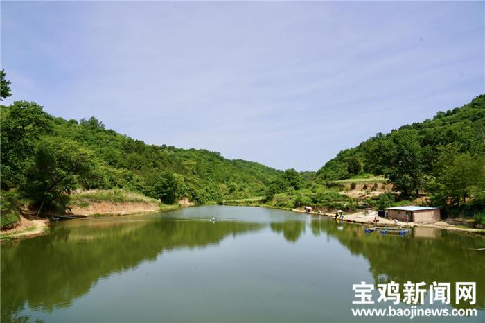 杨百万简历,杨百万的奋斗史