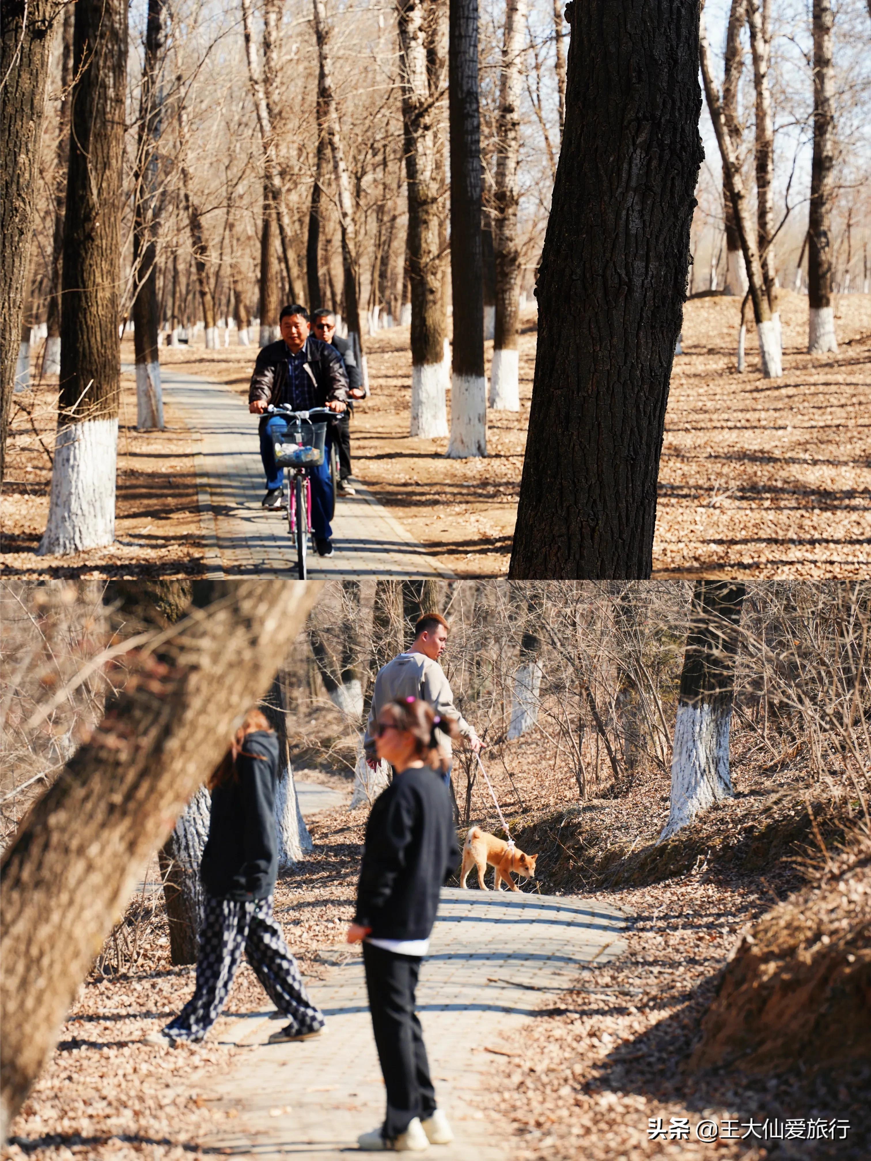 北京京郊踏青好去处,北京春季踏青爬山