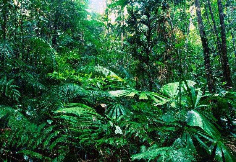 粮食中真菌的检测,粮食中真菌毒素检测的优缺点