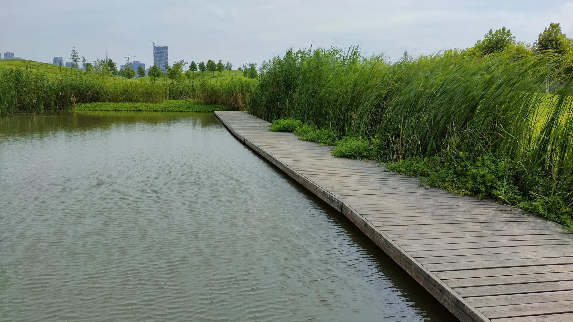 合肥旅游景点大全排名榜前十名,合肥市区旅游攻略必玩的景点