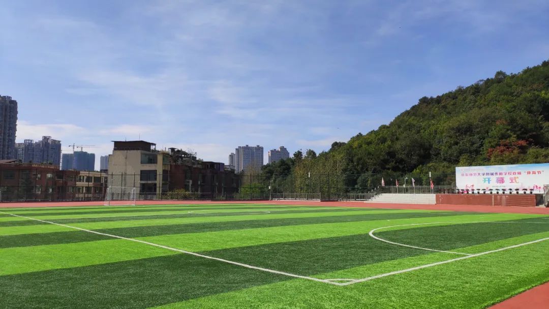 人造草案例|贵州景怡苑东区中小学