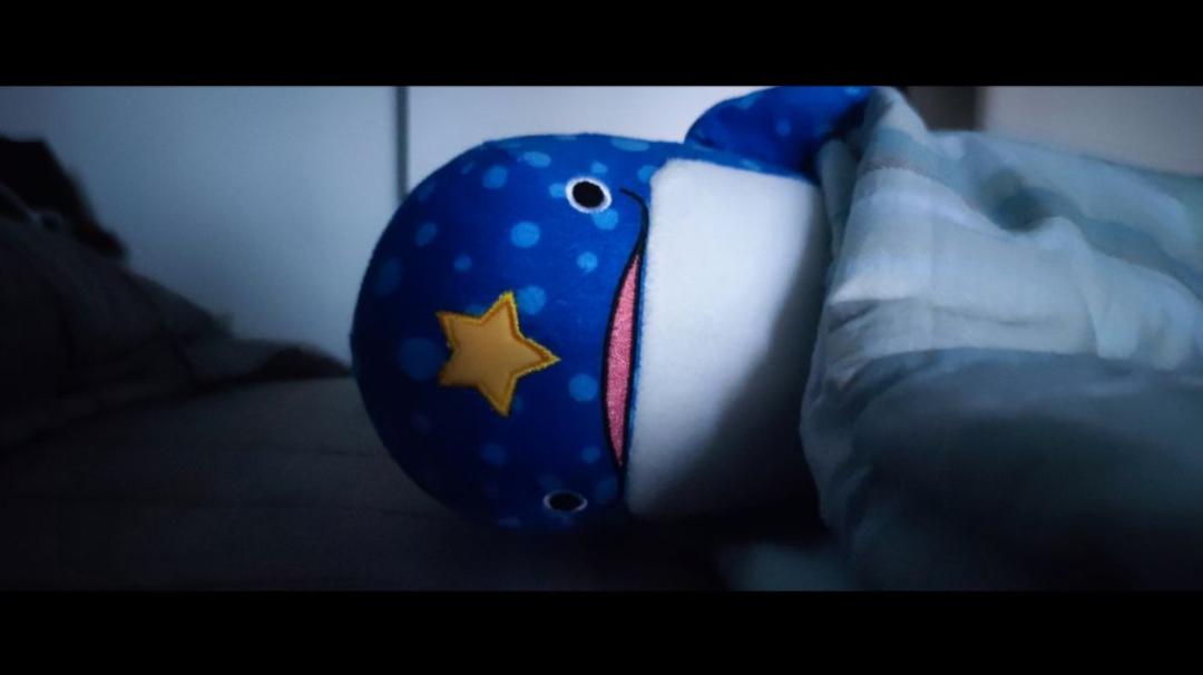 2023年证据目录及证据材料,存在21世纪的证据