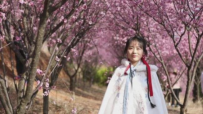 由来开头的诗词,由来这两个字怎么写立体