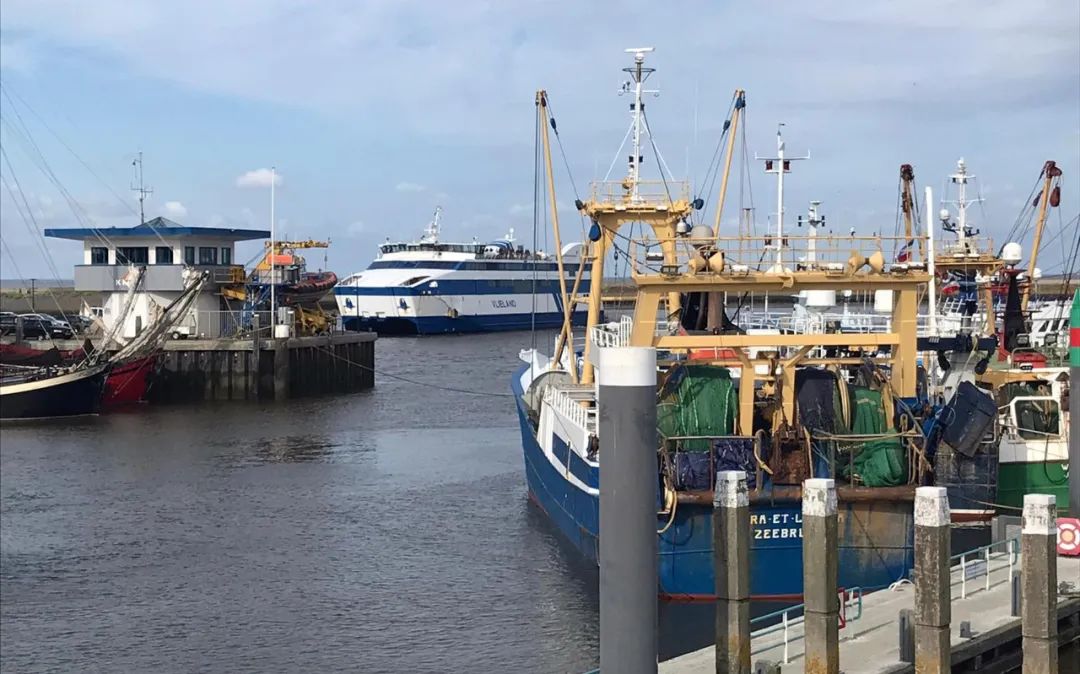 荷兰农民开拖拉机围城抗议,荷兰秋收起义