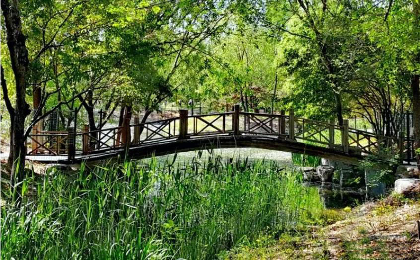 十一北京大兴周边旅游景点推荐,北京大兴黄村旅游攻略