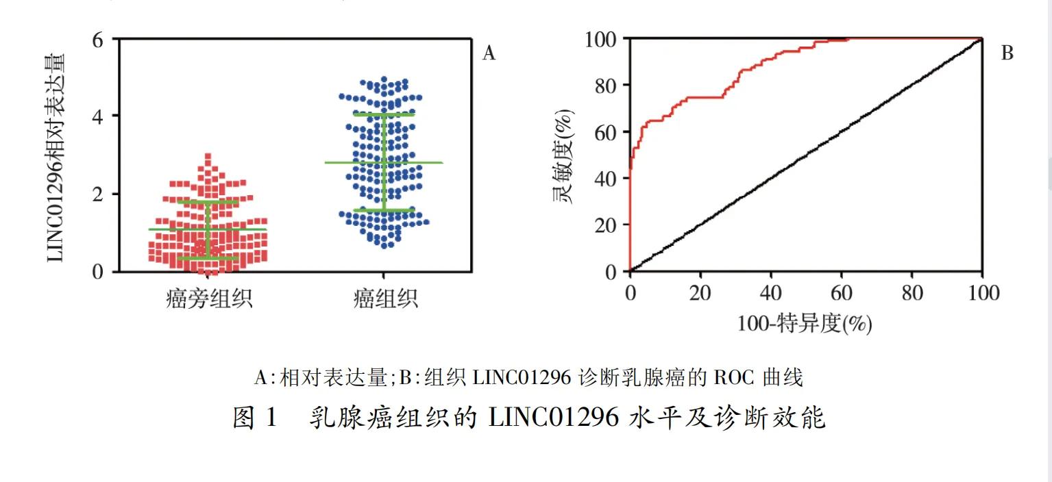 乳腺癌组织低分化,乳腺癌的分子生物学检测意义