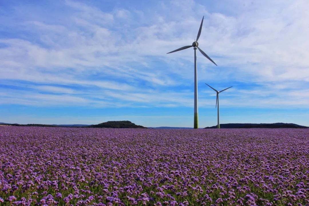 开车去欧洲的路上视频,开车去欧洲的完整视频