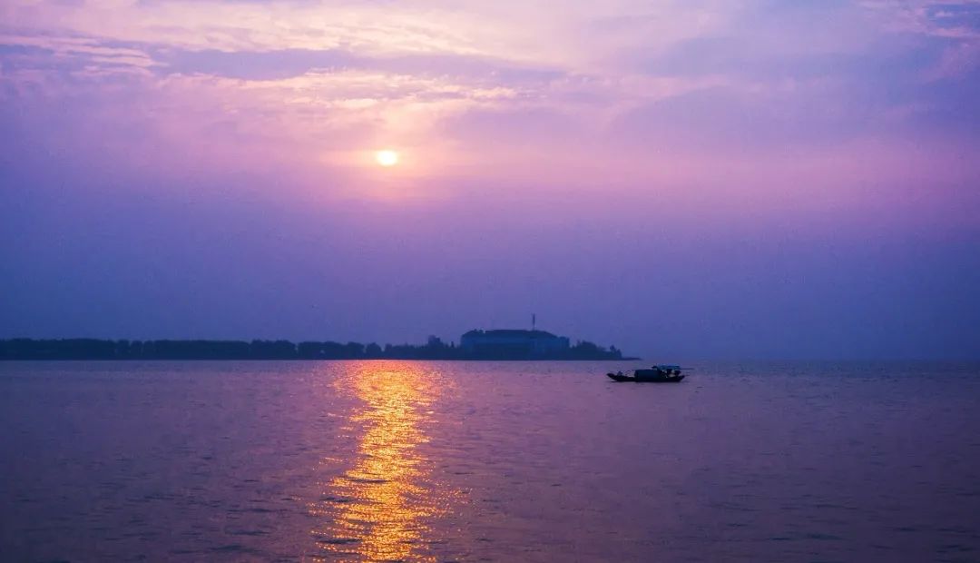 菏泽牡丹节赏花攻略,菏泽春日赏花攻略