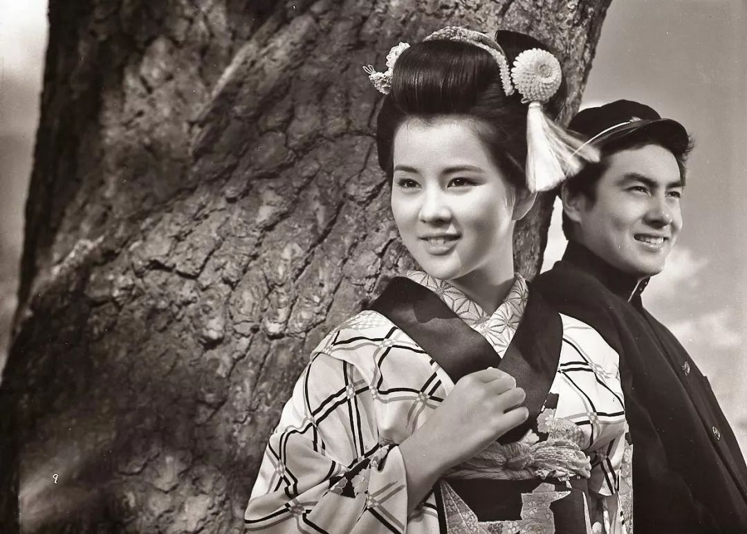 日本伊豆七彩神仙鱼,伊豆在日本哪个县