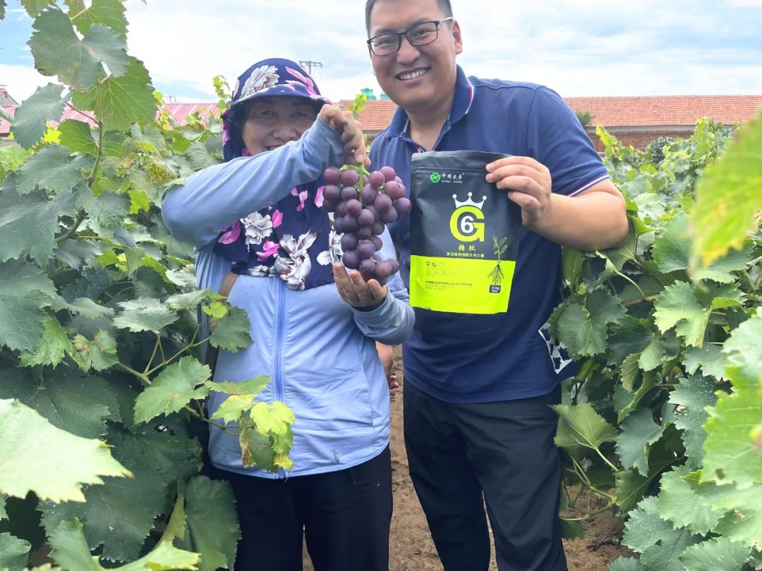 第六届中国农民丰收节,中国农民丰收节