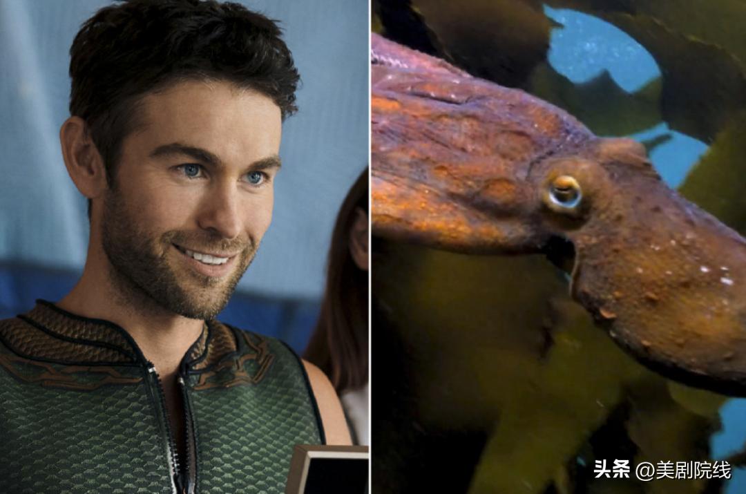 20部值得看的新剧,2020下半年最令人期待的十部剧