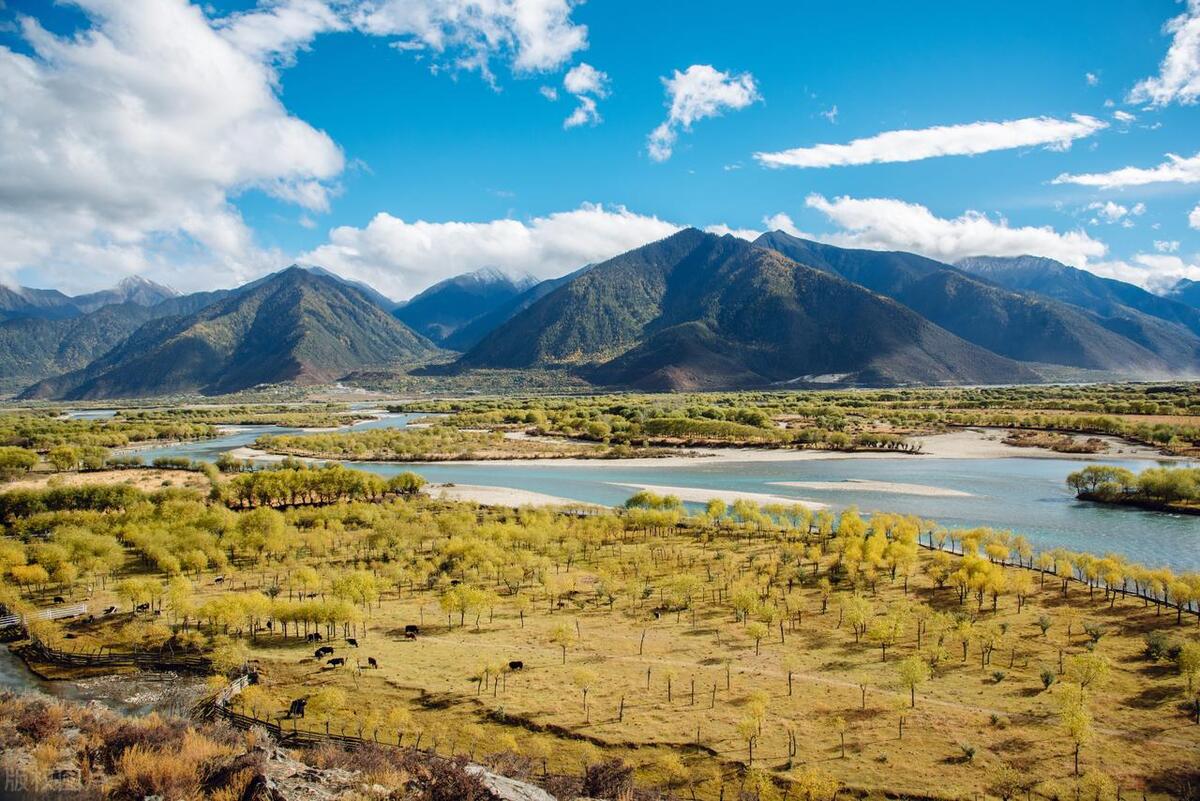 藏南林芝管辖地图,西藏藏南林芝县