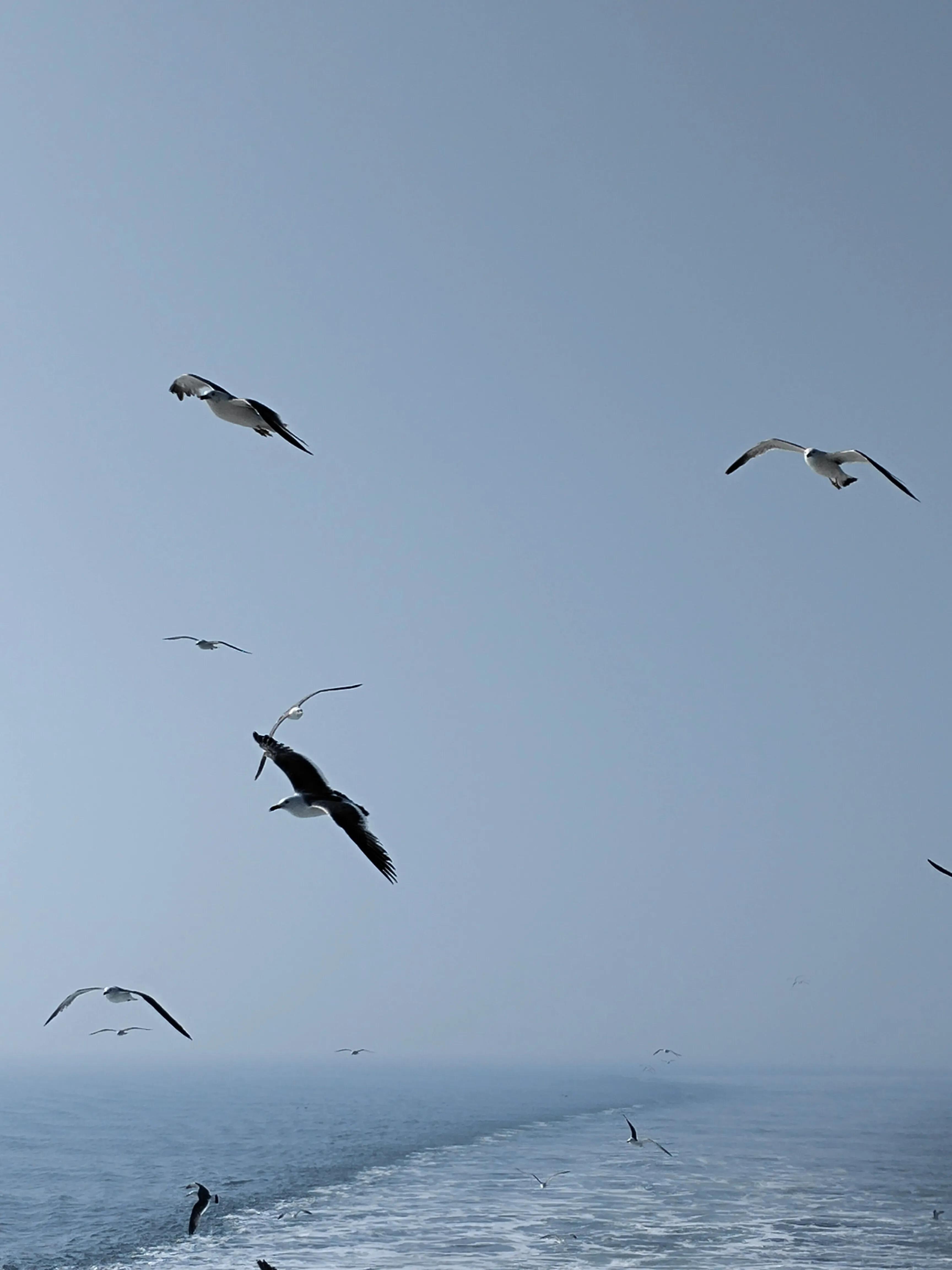 长岛旅游九丈崖,长岛一日游烟台的海