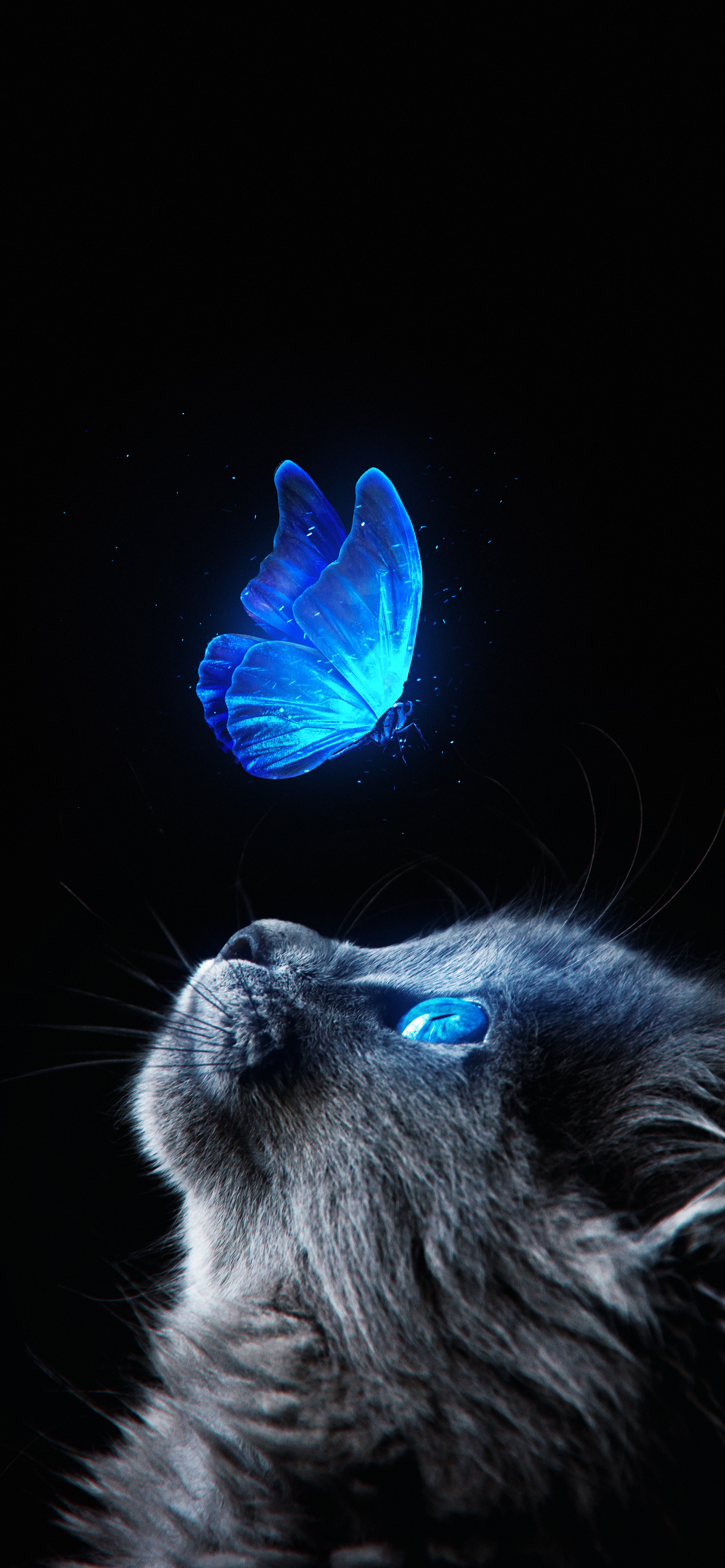 黑色系壁纸高级冷淡风,男士专用黑色壁纸高级