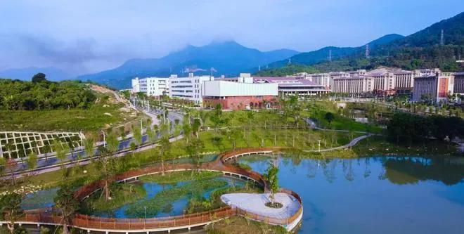 福建省内大专院校及分数线,福建有哪些比较好的大专