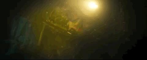 今年最高分了，还在涨